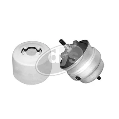 Afbeelding van DYS 71 22076 Aslichaam / motorsteunlager Rechts voor Rubbermetaallager AUDI: A4 B6 Avant, B6/B7 Convertible, Saloon
