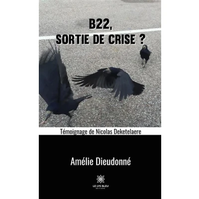Image de B22, sortie de crise ?