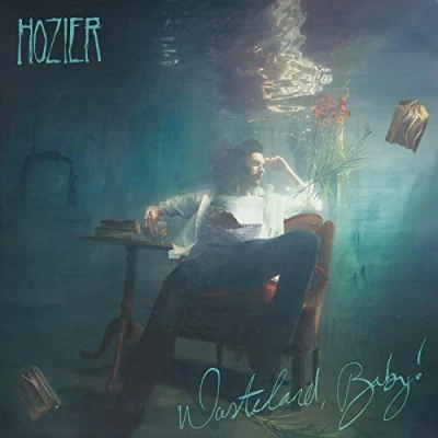 Afbeelding van Hozier Wasteland, Baby! (CD)