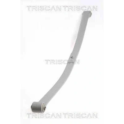 Afbeelding van Veerpakket TRISCAN 8765 29019