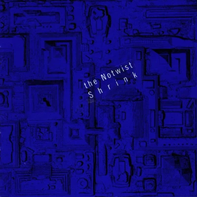 Afbeelding van Notwist Shrink (CD)