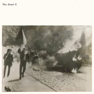 Afbeelding van Dead C Armed Courage (CD)