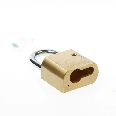 Afbeelding van Burg Wächter Profi messing hangslot voor halve profielcilinders 50 mm