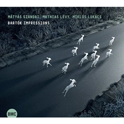 Afbeelding van Mátyás Szandai, Mathias Levy &amp; Miklós Lukács Bartok Impressions (CD)