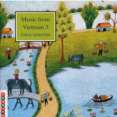 Afbeelding van Various Artists Music From Vietnam 3 Ethnic Minorities (CD)