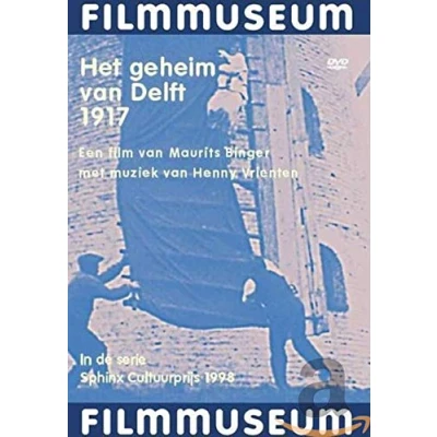 Afbeelding van Geheim Van Delft 1917 (DVD)
