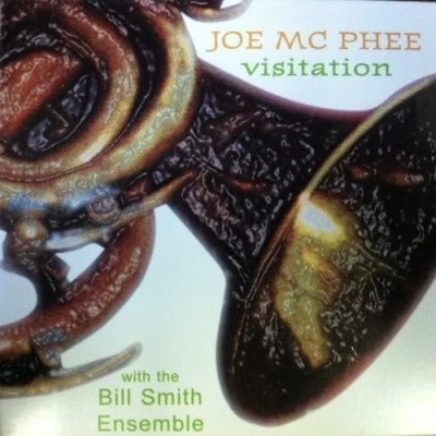 Afbeelding van Joe McPhee Visitation (CD)
