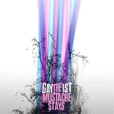 Afbeelding van Gaytheist The Mustache Stays (LP)