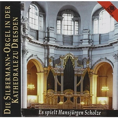 Afbeelding van Die Silbermann Orgel In Der Kathedr