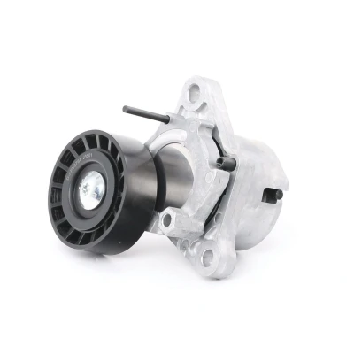 Afbeelding van Riemspanner, Poly V riem DAYCO APV2764