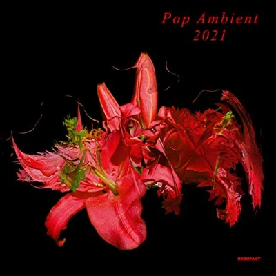 Afbeelding van Various Pop Ambient 2021 (LP)