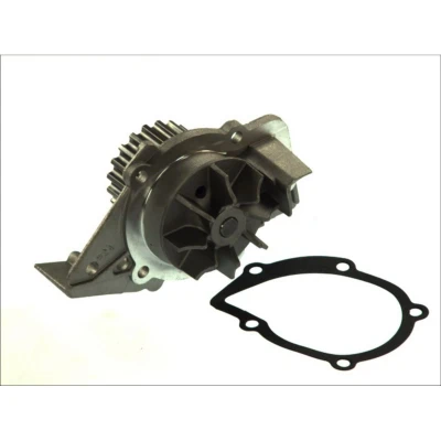 Afbeelding van THERMOTEC D1P045TT Waterpomp 20 Met pakking Mechanisch FIAT: Ducato II Van, Minibus, Platform/Chassis, PEUGEOT: Partner I Van