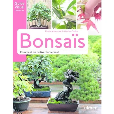 Image de Bonsaïs Comment les cultiver facilement