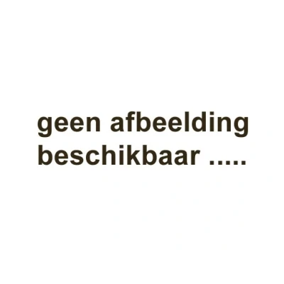Afbeelding van Victorinox Bit Hex 1/8&quot; voor SwissTool Plus