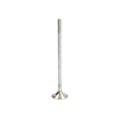 Afbeelding van Uitlaatklep FRECCIA R6838/RCR
