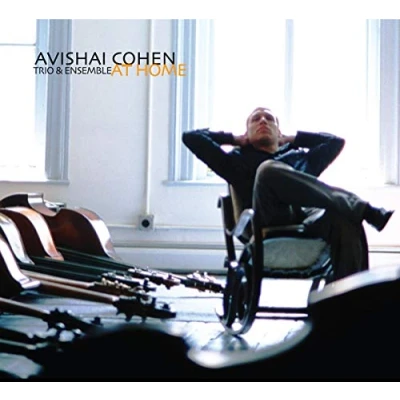 Afbeelding van Avishai Cohen At Home (CD)