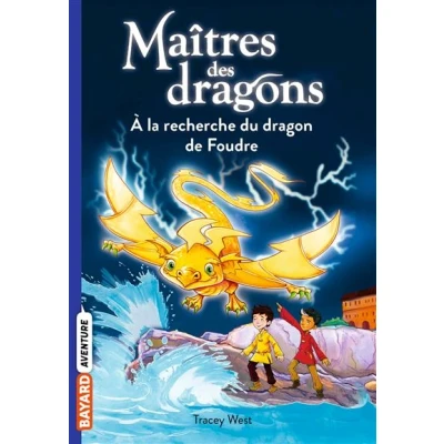 Image de Maîtres des dragons, Tome 07