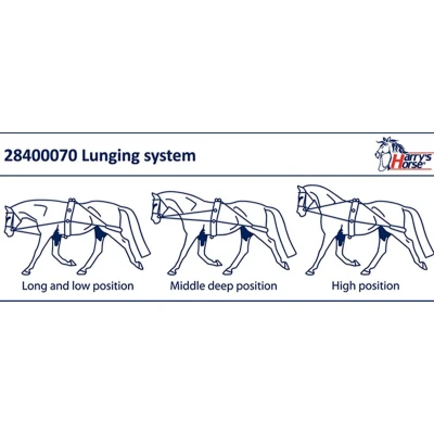 Afbeelding van Harry&#039;s Horse Longeerhulpteugel Full