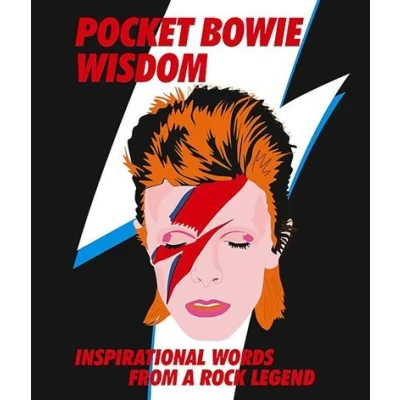 Image de Pocket Bowie Wisdom