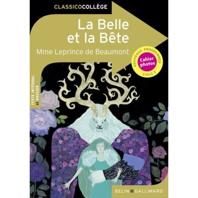 Image de la Belle et Bête