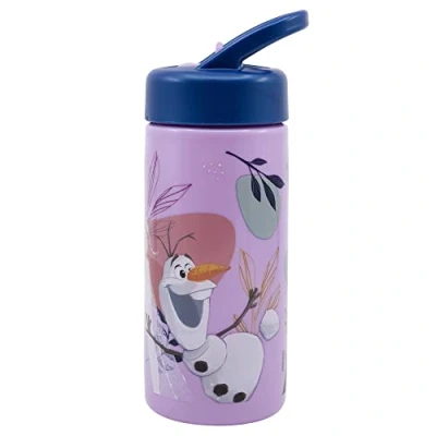 Afbeelding van Disney Frozen drinkbeker / drinkfles 400 ml