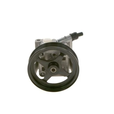 Afbeelding van Bosch Servopomp K S00 003 110