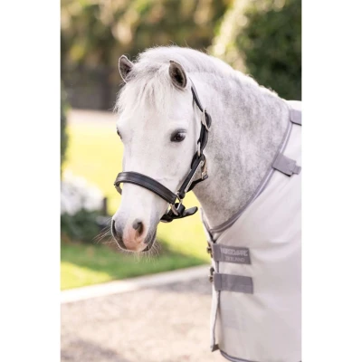 Afbeelding van Amigo Bug Rug Pony Silver/Titanium Grey/Silver 90/137 Agradi.be