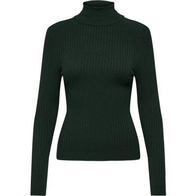 Afbeelding van ONLY Onlkarol ROLL NECK Trui, Dames, Maat: XL, Scarab