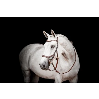 Afbeelding van Rambo Micklem Competition Bridle New Dark Havana Cob