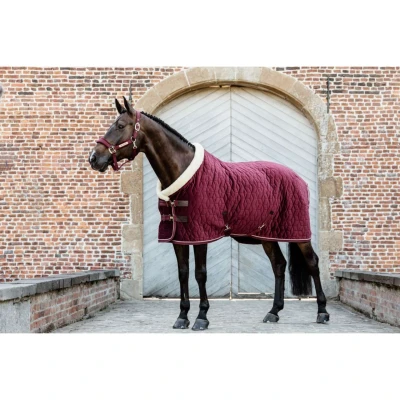 Afbeelding van Kentucky Showdeken Velvet 160g Bordeaux 140/191