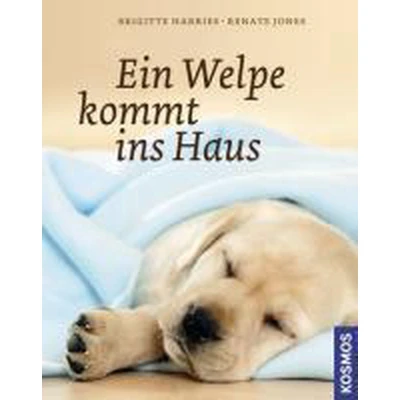 Afbeelding van Ein Welpe kommt ins Haus