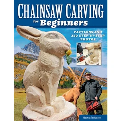 Afbeelding van Chainsaw Carving for Beginners
