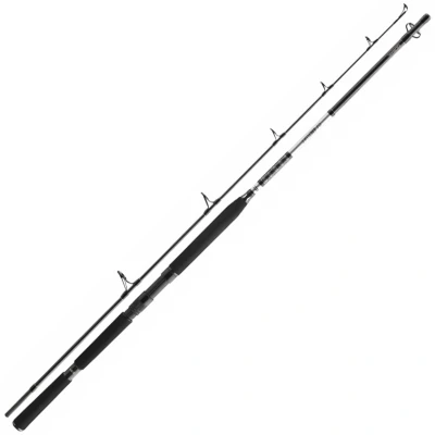 Afbeelding van Daiwa BG Popper Zeevis Hengel 2,30m (40 150g) Boothengel
