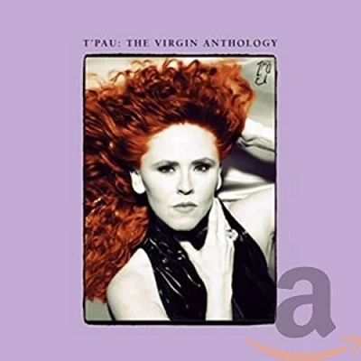 Afbeelding van The Virgin Anthology (Limited Edition)