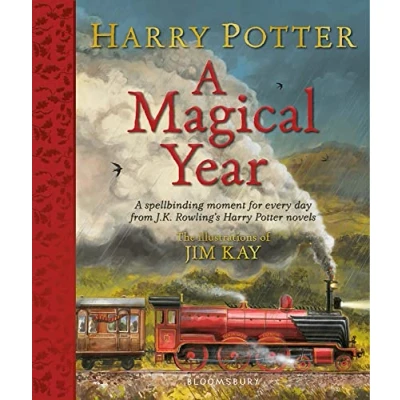 Afbeelding van Harry Potter A Magical Year