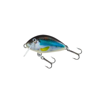 Afbeelding van Salmo Tiny Floating (diepte 0.3m) 3cm 2g Kleur : Holo Smelt