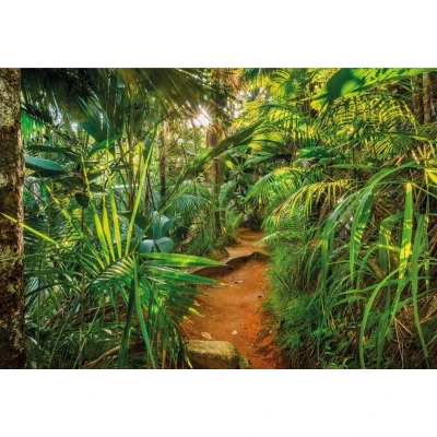 Afbeelding van Fotobehang Jungle Trail 368x254 cm