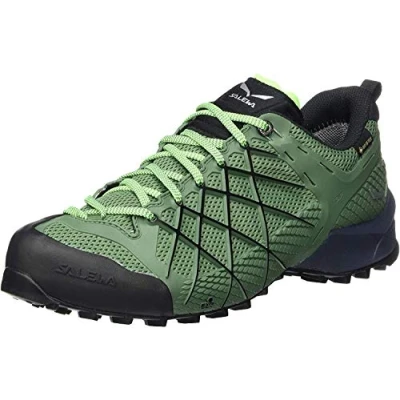 Afbeelding van Salewa Ms Wildfire Gore tex lage herenschoenen