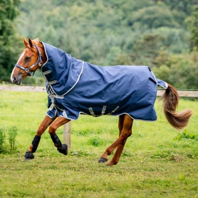 Afbeelding van Horseware Weidedeken met Kap Amigo Bravo 12 Plus 100g Marineblauw/Grijs