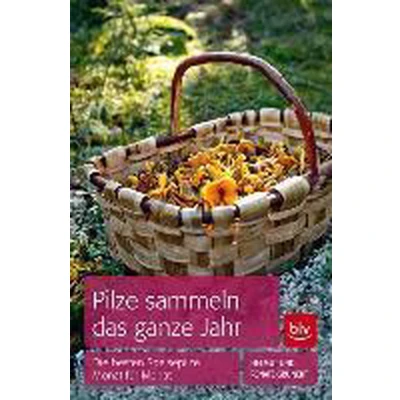 Afbeelding van Pilze sammeln das ganze Jahr