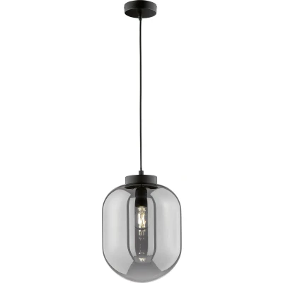Afbeelding van Fischer &amp; Honsel Hanglamp Regi 1x E27 max. 40 W (excl.) Zwart Mat Metaal Rookglas