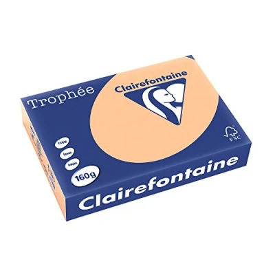 Afbeelding van Clairefontaine Trophée Pastel, Gekleurd Papier, A4, 160 G, 250 Vel, Abrikoos Papier