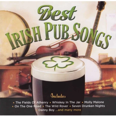 Afbeelding van Various Artists Best Irish Pub Songs (CD)