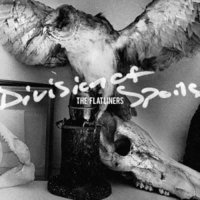 Afbeelding van The Flatliners Division Of Spoils (2 LP)