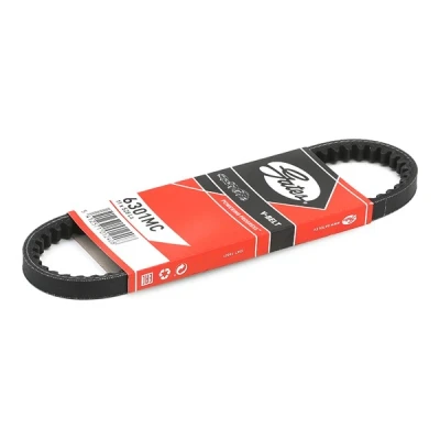 Afbeelding van Gates V riem 6301MC