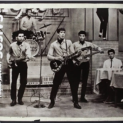Afbeelding van Los Saicos Demolicion (LP)