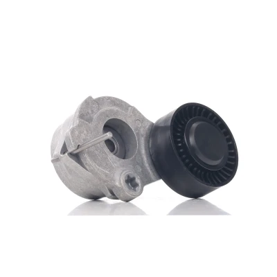 Afbeelding van Riemspanner, Poly V riem INA 534 0470 10