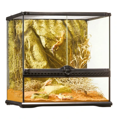 Afbeelding van Exo Terra Glas Terrarium &amp; Achterwand Terraria 45x45x45 cm