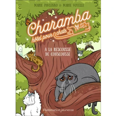 Image de Charamba, hôtel pour chats À la rescousse de Couscousse