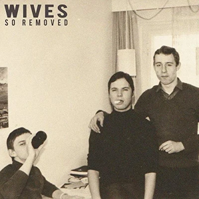 Afbeelding van Wives So Removed (LP)